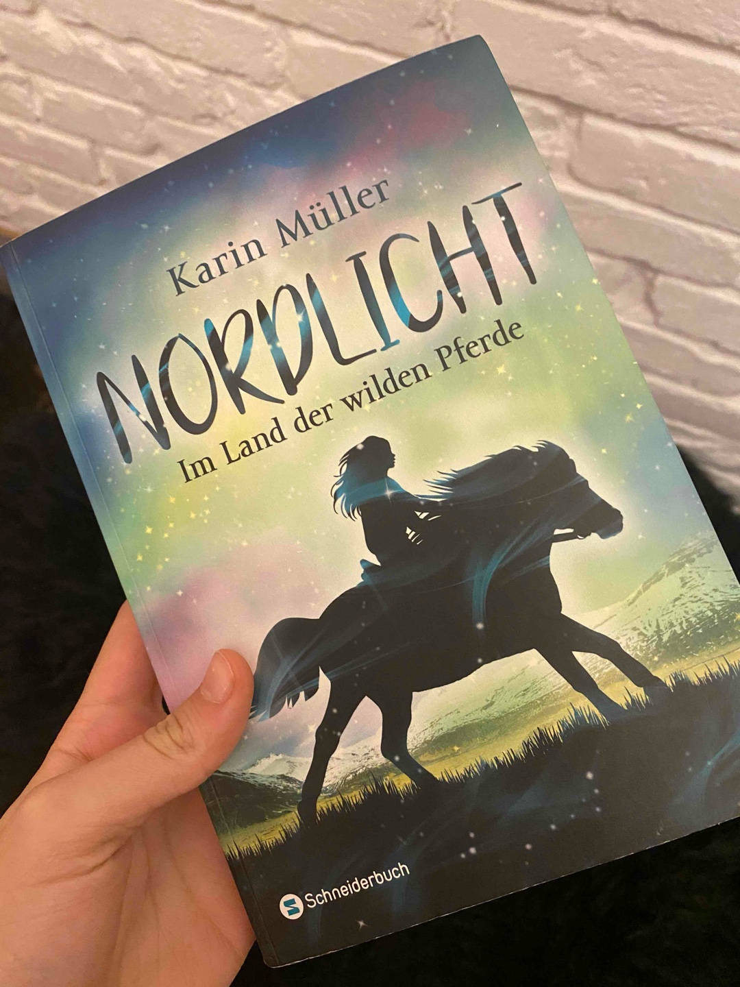 Eine schöne und bewegende Geschichte.
Genau das richtige für Jugendliche die Pferde mögen
mit ein bisschen Romantik 🫶🏼
Ich freue mich schon darauf den zweiten Band zu lesen 📖