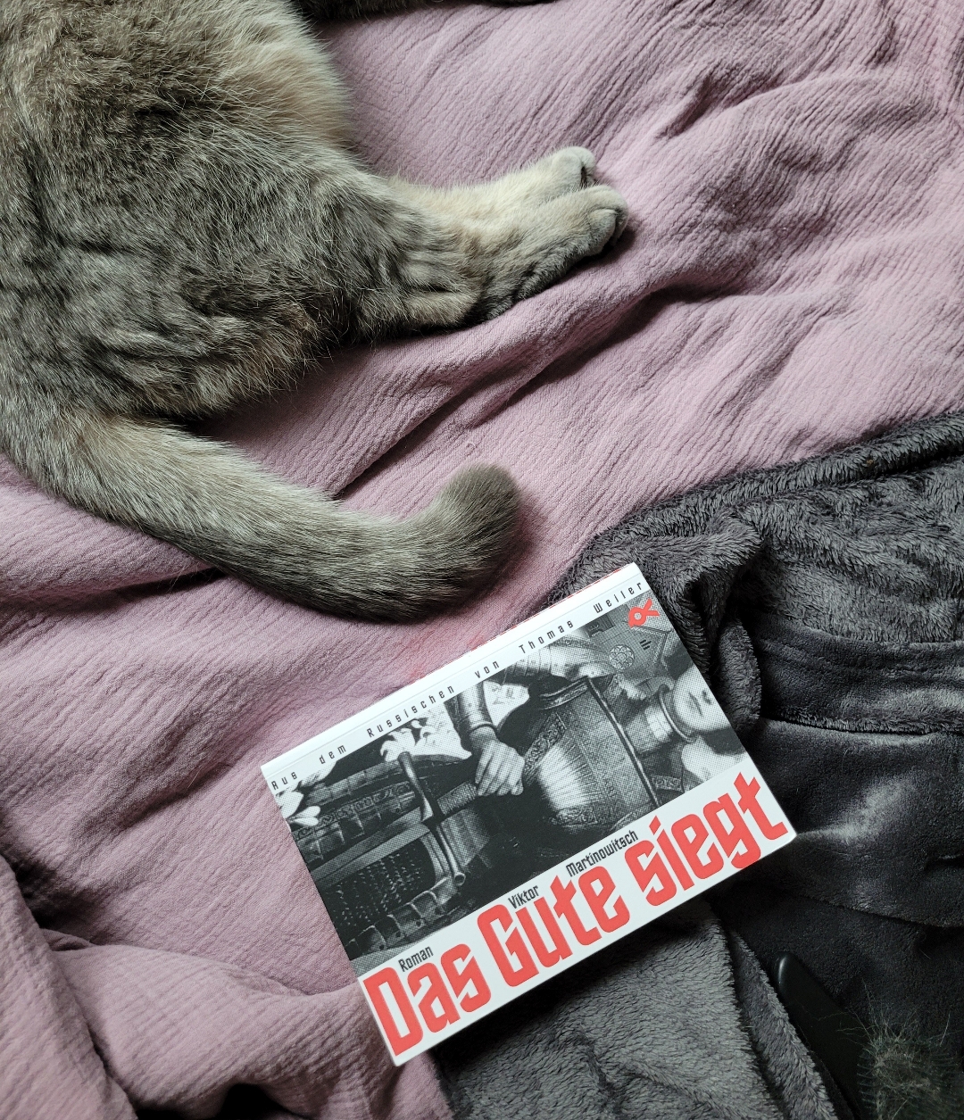 Ein Kater namens Heidegger,der gerettet werden muss, trägt sie Handlung des inmitten der Unruhen in Belarus spielenden Romans. Es geht um Fragen persönlicher Handlungsspielräume, Repression und Alltag. Eine große Leseempfehlung, auch wenn man etwas braucht um reinzukommen.