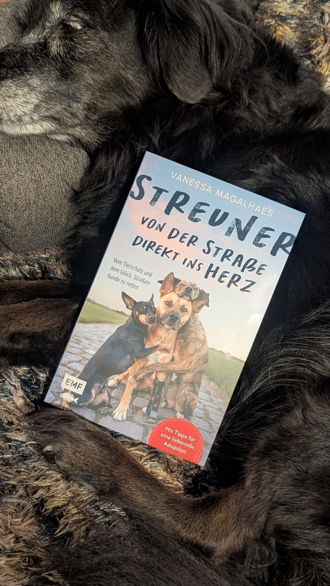 Von der Raststätte mitten ins Herz