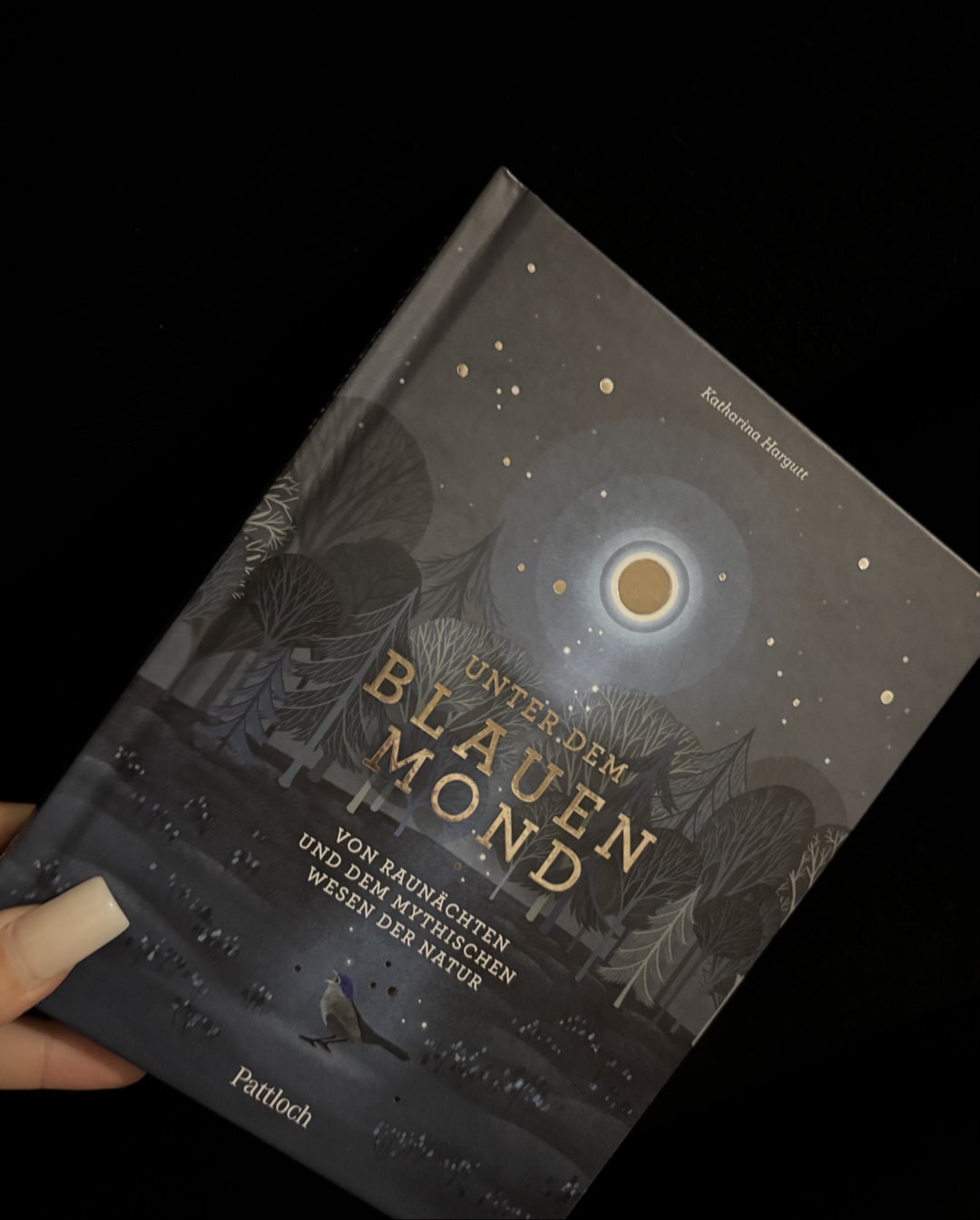 ✨🌙⭐️