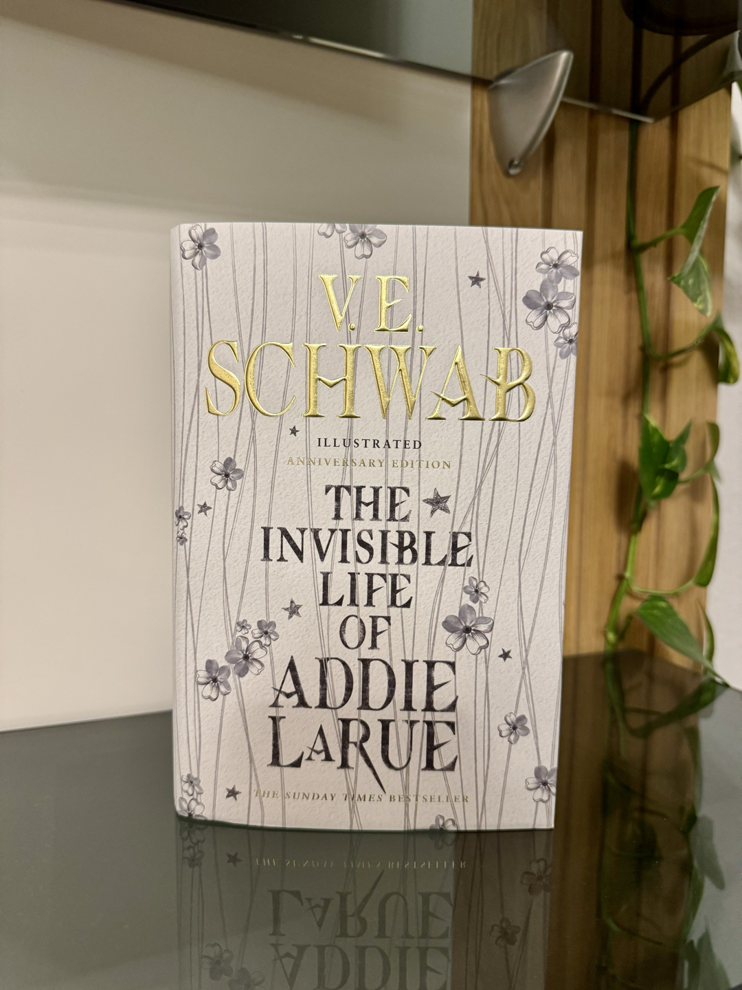 The invisible life of Addie LaRue✨💫