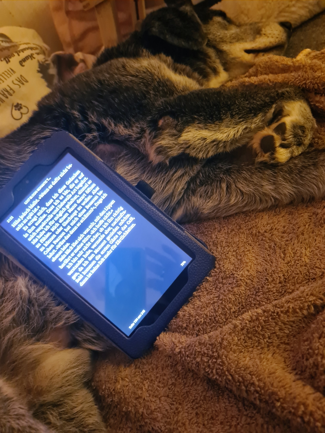 Nachdem ich Teil 1 gelesen hatte, war klar: Teil 2 musste sein. Und „Lost Bloom“ hat mich tief berührt. Izzys Weg, sich ihrer Vergangenheit zu stellen, hat mich nicht losgelassen, genauso wenig wie dieses wunderschöne, fast schon magische Setting.
Cohan habe ich sofort ins Herz geschlossen – so einfühlsam, aufmerksam und einfach zum Dahinschmelzen. Das Knistern zwischen den beiden war intensiv und ehrlich. Der geheimnisvolle Beobachter hat mich bis zur letzten Seite begleitet und komplett überrascht. Das Ende war pure Spannung und ganz viel Gefühl. Für mich ein rundum emotionales Leseerlebnis.