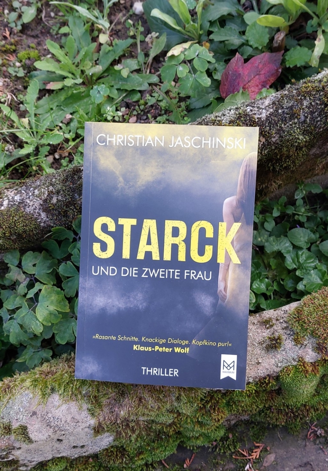 Spannende Fortsetzung.