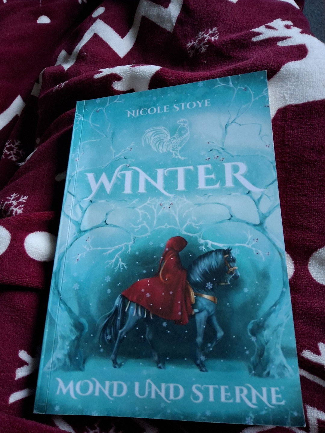 Eine magische Geschichte rund um die Rauhnächte. Obwohl ich es schon eher als Sagengeschichte bezeichnen würde. Sie beginnt mit den Nornen und der Wintersonnenwende. Danach bekommt jede der zwölf Rauhnächte ein eigenes Kapitel. Wir begleiten dabei die Schwestern Hulda und Bertha auf der wilden Jagd.
Die Geschichte ist sehr magisch ,was mir sehr gefallen hat. Ich hatte aber bei lesen irgendwie Probleme dran zu bleiben. Immer wieder bin ich aus dem Lesefluss raus gekommen, das hat mir den Spaß am Buch genommen.