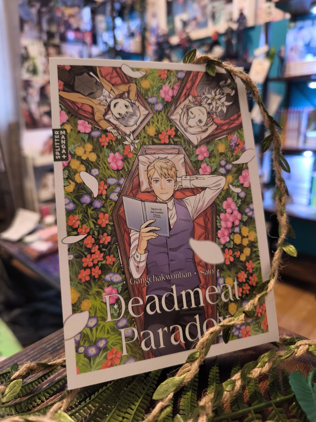 ✨🌿🌻Deadmeat Paradox🌻🌿✨