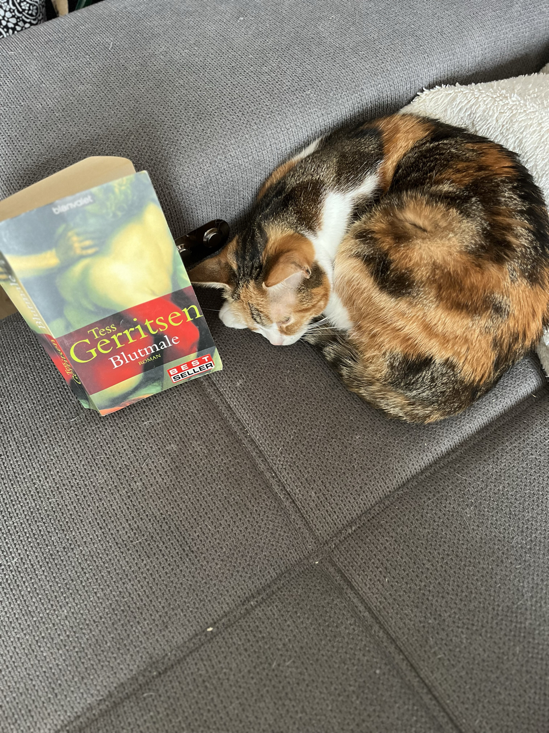 Rizzoli und Isles auf okkulten Spuren