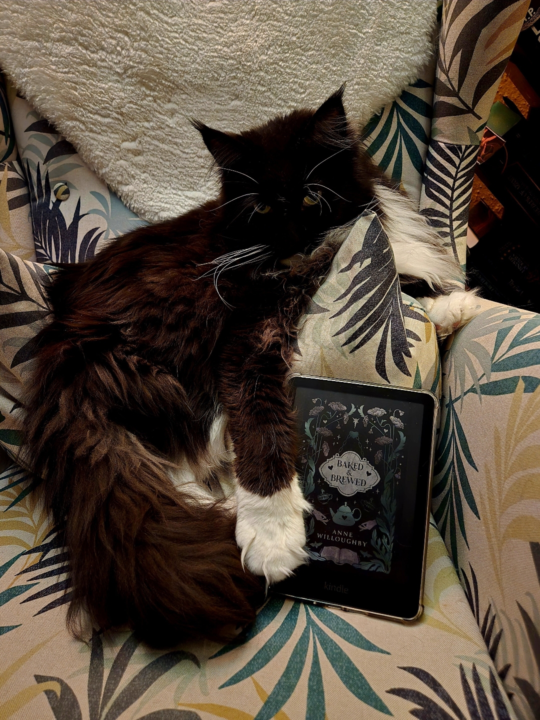 Süße cosy Romanze mit witchy Vibes