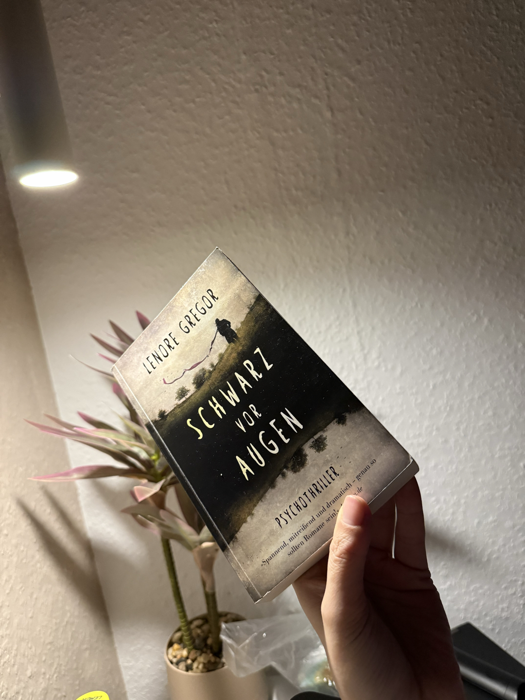 Nach dem Buch ist mir auch schwarz vor Augen