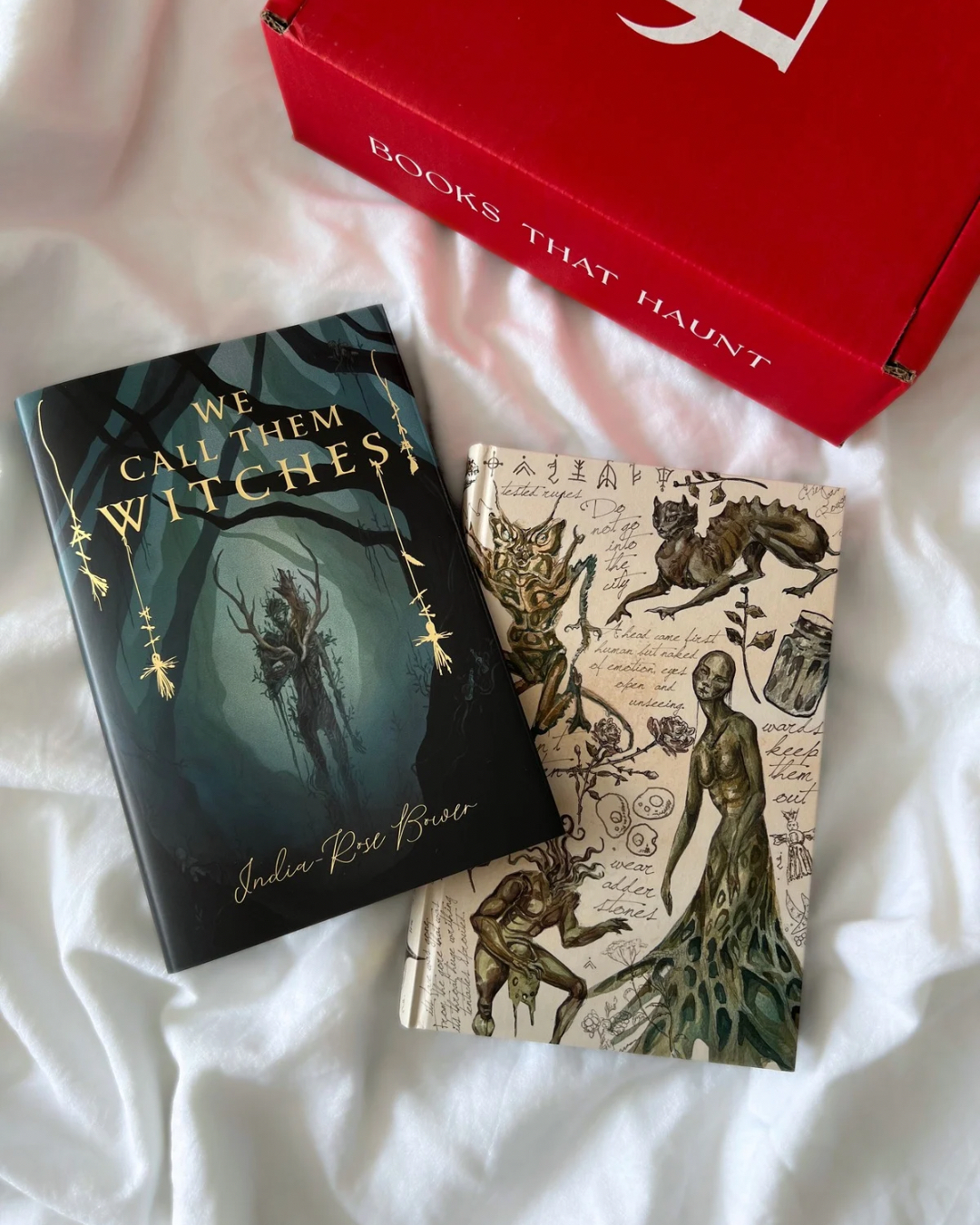 Ein atmosphärisch starker, spannender dystopischer Horror-Fantasy-Roman mit intensiven Survival-Elementen und einer eindrucksvollen Welt.