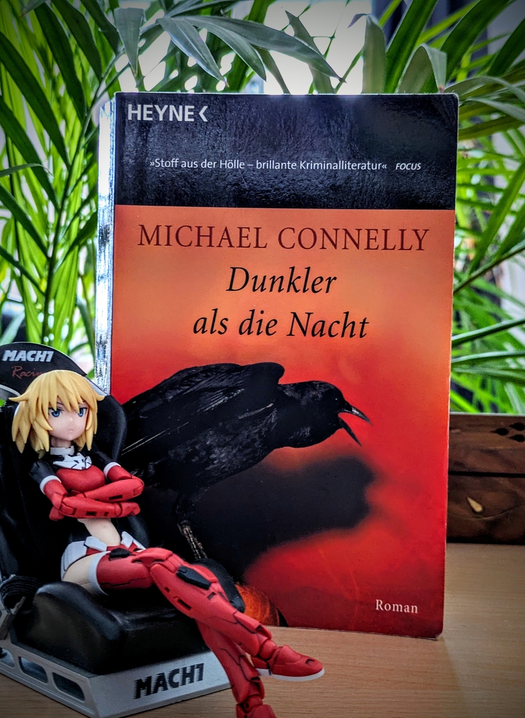 Hier treffen die Protagonisten Terry McCaleb 👨🏼🦱und Harry Bosch 👮🏻♂️, aus ihren jeweiligen Reihen bekannt, aufeinander.