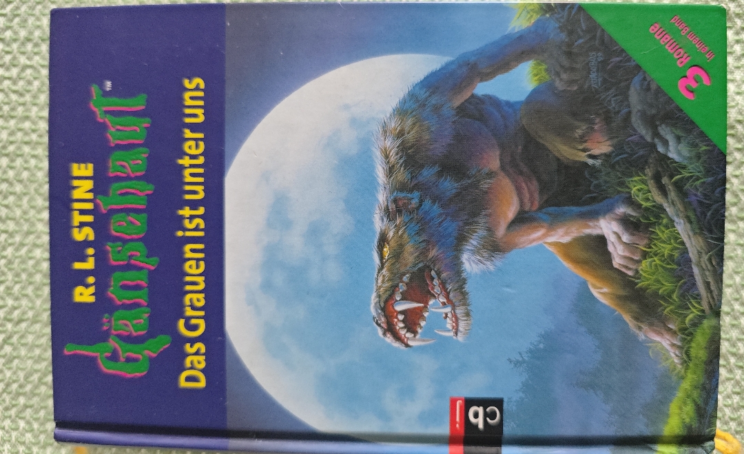 Ich fand es meiner Meinung nach an manchen Stellen extrem gruselig und ich bin kein großer Fan von Grußelbücher.