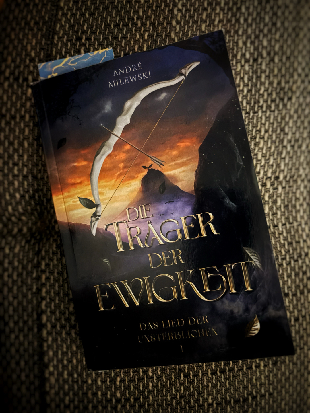 0815-Fantasy?
Und einen Beitrag hatte ich auch nicht geplant!
Tja!
So ist das einzige 0815 mein Foto von dem Buch!
Tja?
