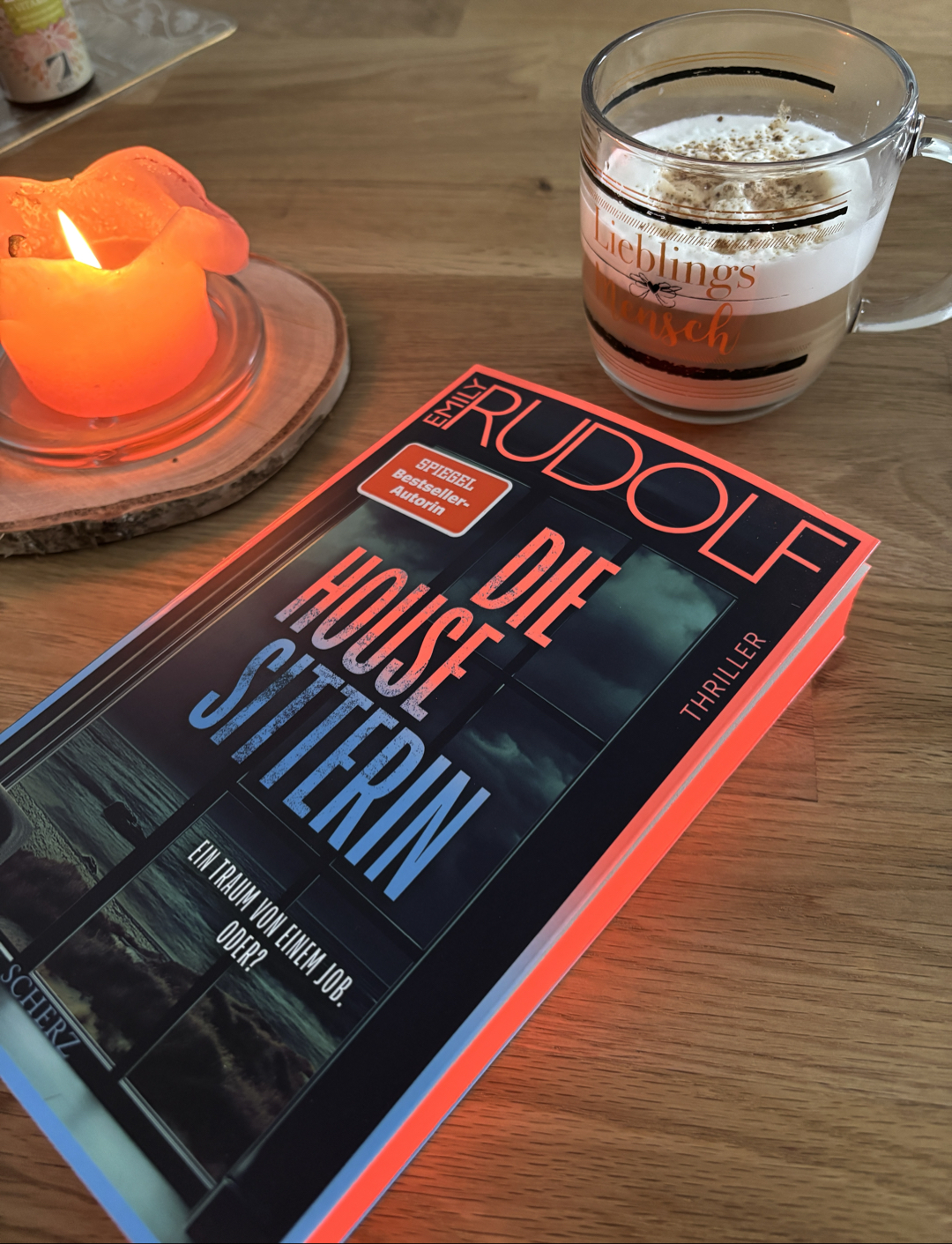 Mein erstes Buch von Emily Rudolf und mir hat es echt gut gefallen!