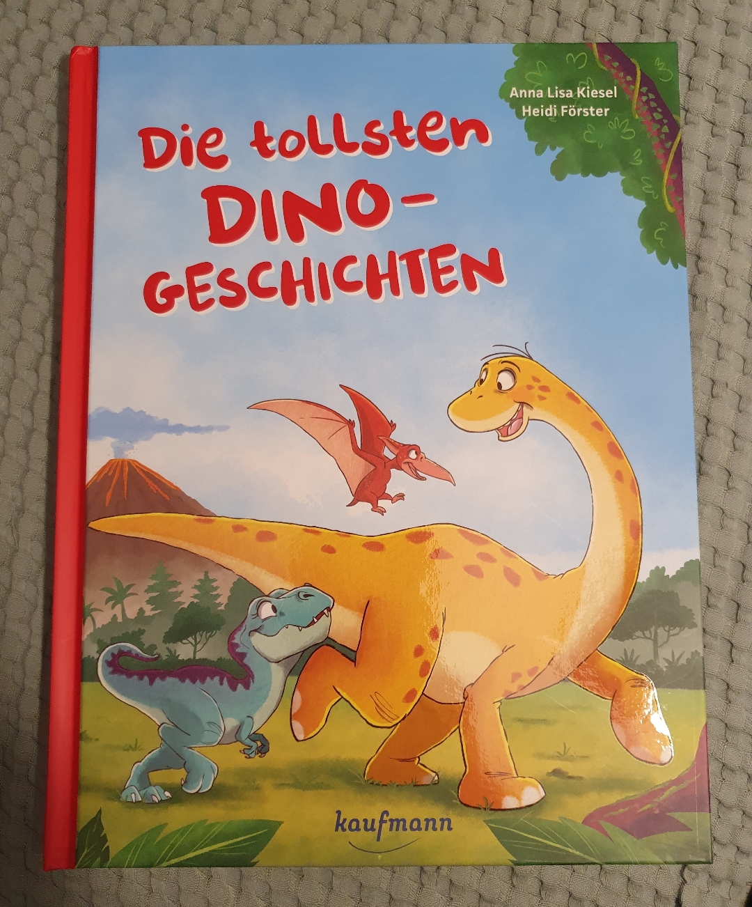 Bunte, freundliche Illustrationen! Auf den Kinder Alltag umlegbare Geschichten! Leider zu viel Text für das Zielalter!