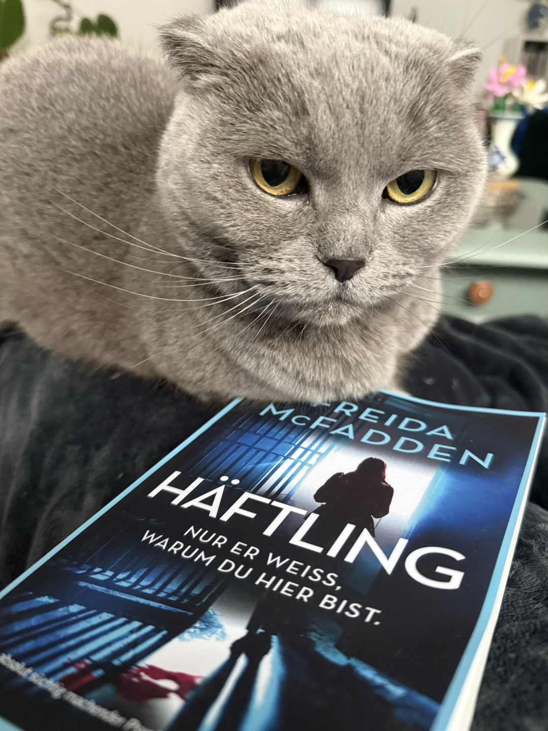 #1/Mai 📗
Wow, ich liebe die Plottwists von Freida Mc Fadden 😍 Hier wieder richtig gut gelungen 😇
