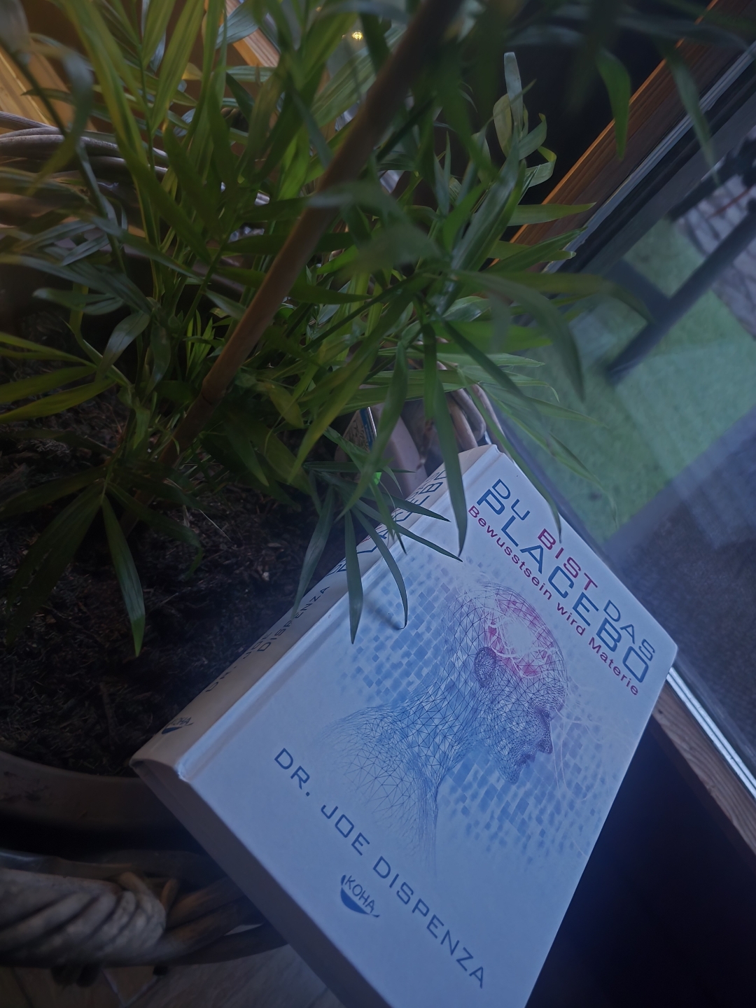 Inspirierendes Buch in Bezug auf die Geist-Körper-Verbindung