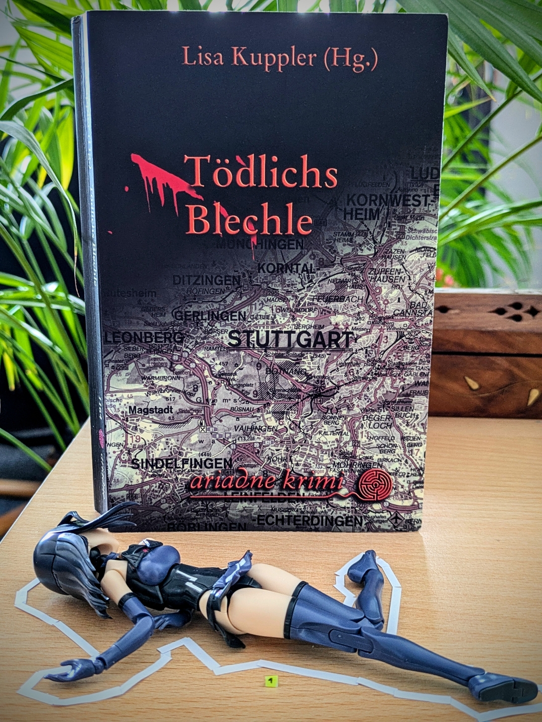 Regionale Kurzkrimi-Sammlung, die sich mit Ortskenntnis besser entfaltet. 🧐🗺️