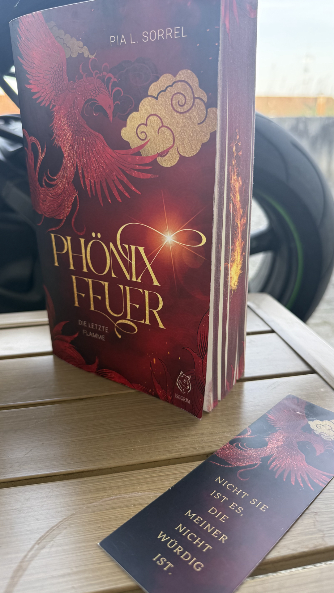 Phönixfeuer begeistert mit einer faszinierenden Fantasywelt, spürbaren Emotionen und liebenswerten Charakteren.