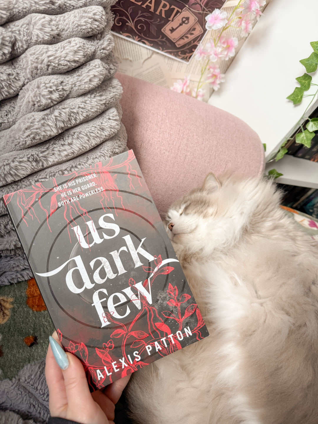 6⭐️!!! müsst ihr bitte alle gelesen haben 🙂↕️🙌🏻🤍