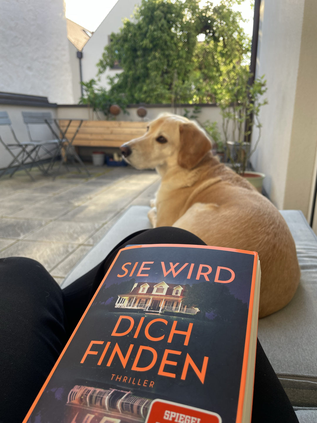 Das schwächste Buch der Serie