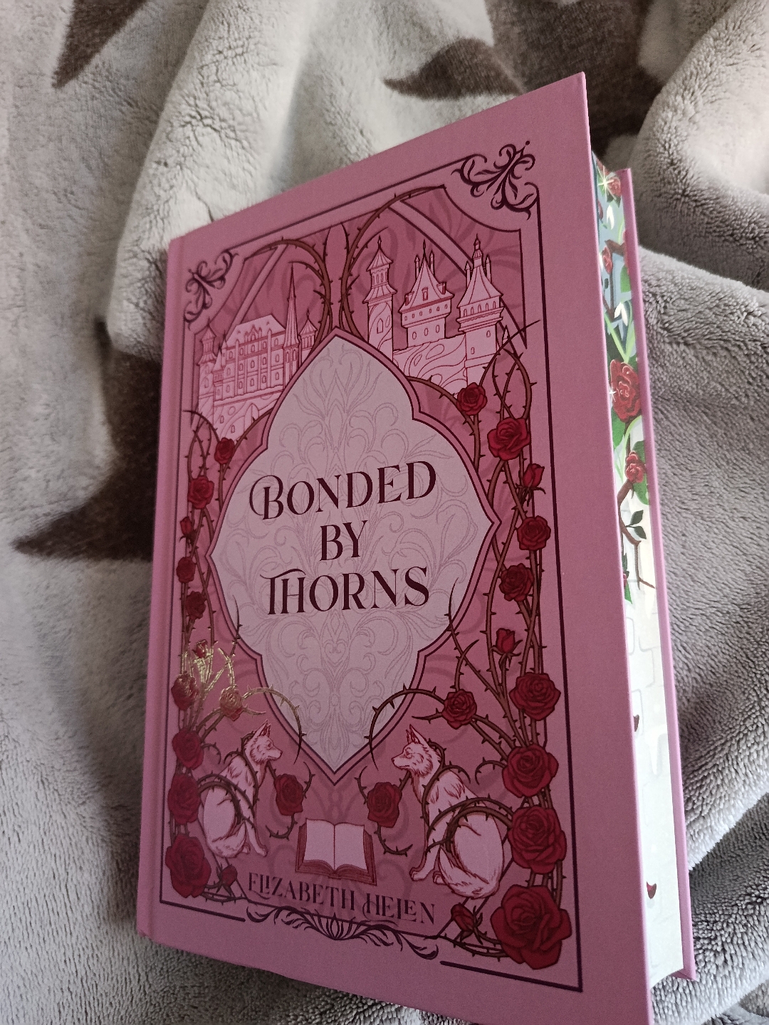 Vier Prinzen und ein Fluch 🧝🏻♀️🧝🏻🧝🏻♂️🧝🏼✨