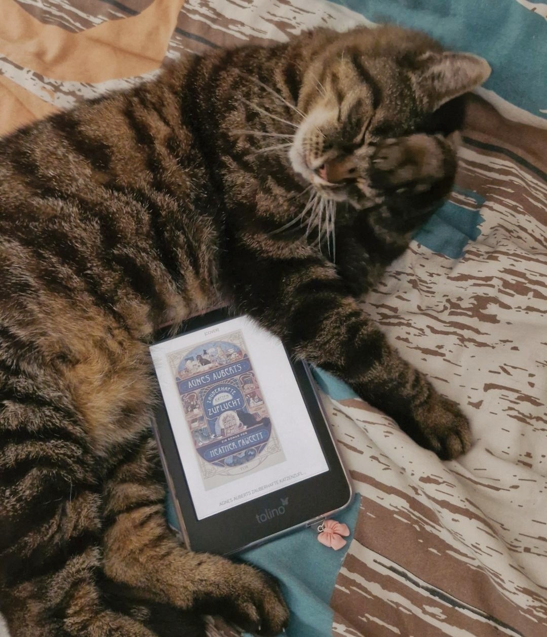 Ich wollte einen cozy Read mit Fantasyelementen. Bekommen habe ich nicht nur das, sondern obendrein flauschige Kätzchen.