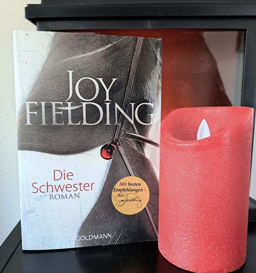 Wieder ein tolles Buch das ich regelrecht verschlungen hab!
Interessante Wendungen & ein unerwartetes Ende.