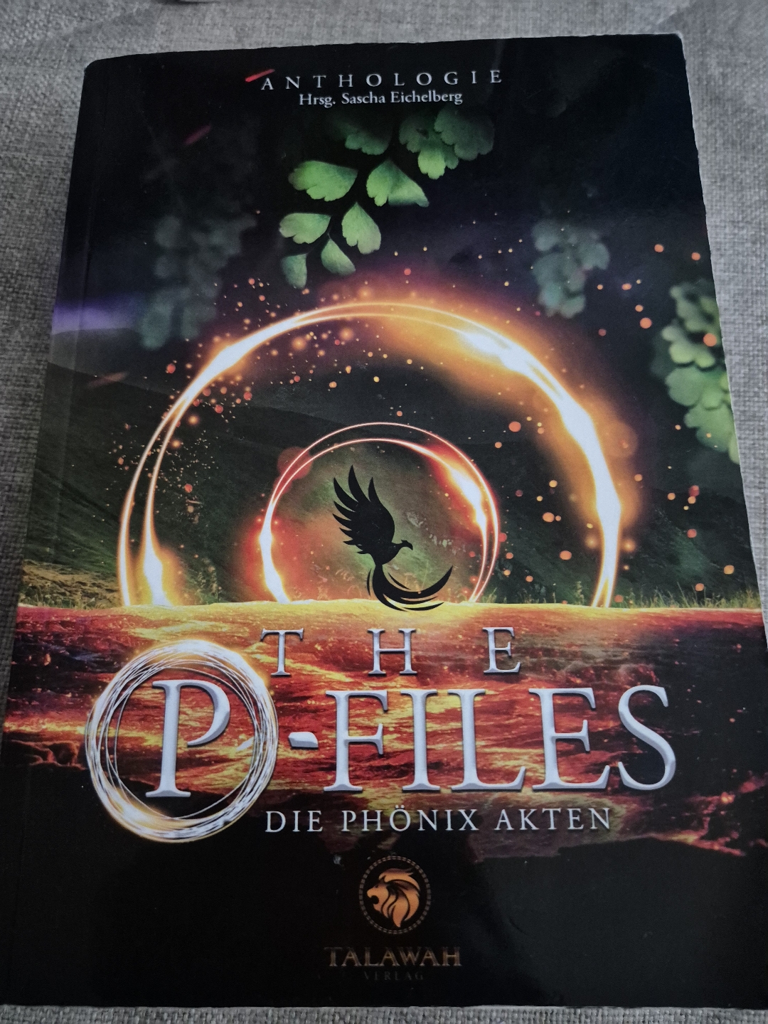 Von vielen verschiedenen Schriftstellern geschriebene Kurzgeschichten. Für jeden sieht der Phönix anders aus.