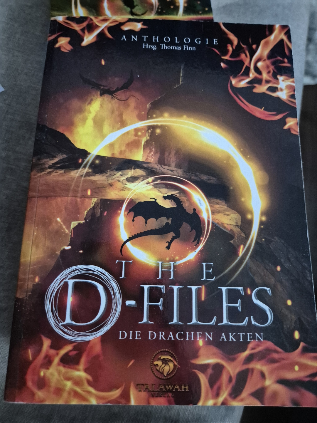 Kurzgeschichten über Drachen. Interessant für Leute die gerne verschiedene Schreibstile lesen.