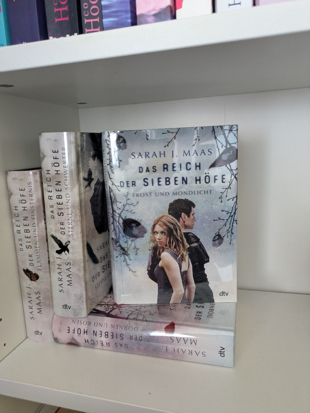 Eine Novelle mit wenig Action und viel träumen