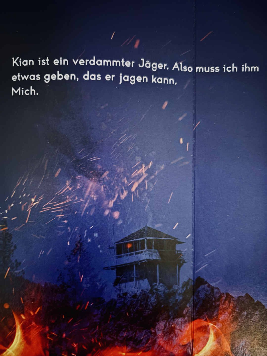 Ein unglaublich gutes Buch !