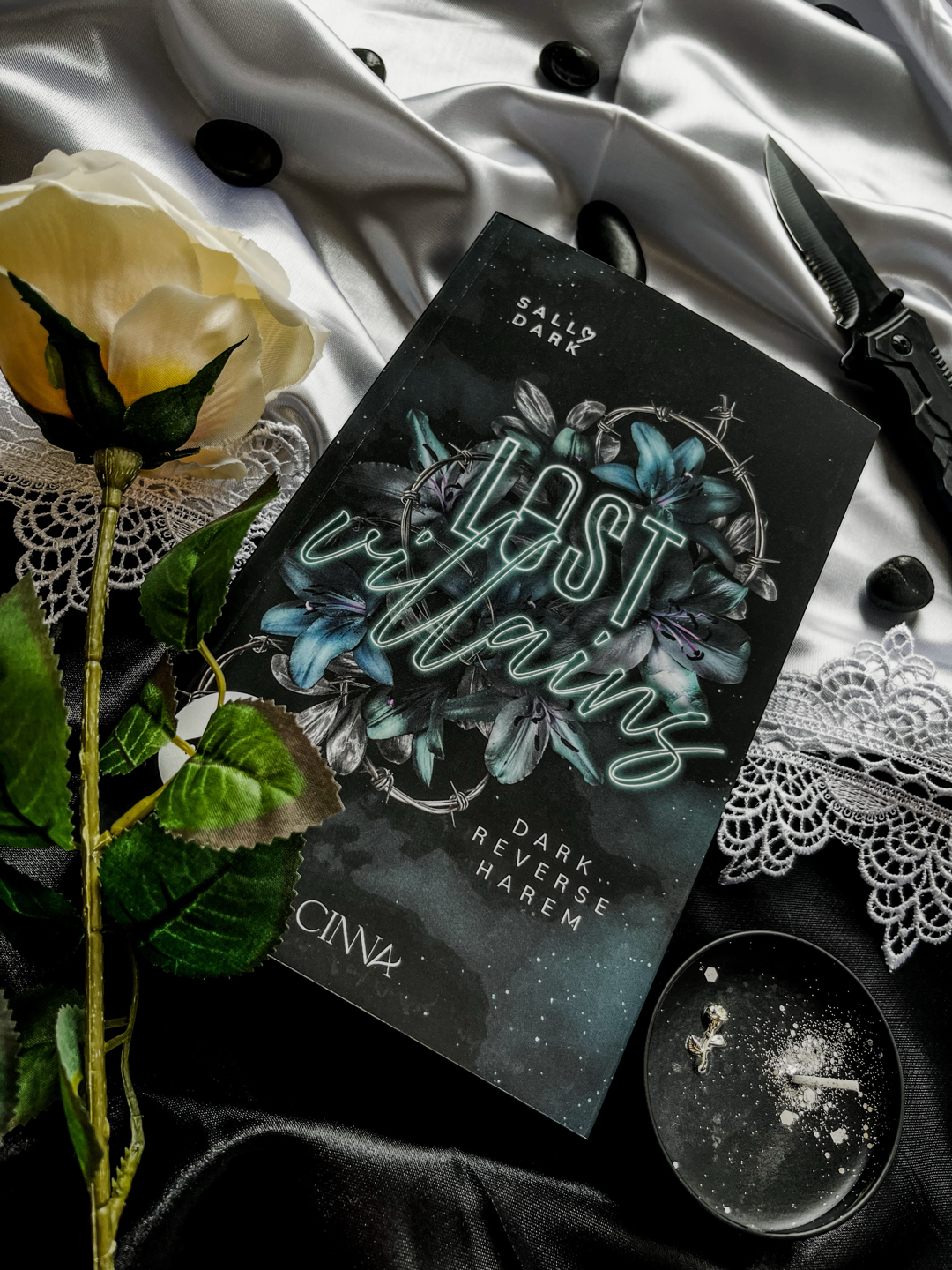 Eine absolute Sucht-Reihe für alle Fans von Dark Romance, starken Charakteren und emotionalem Chaos🖤