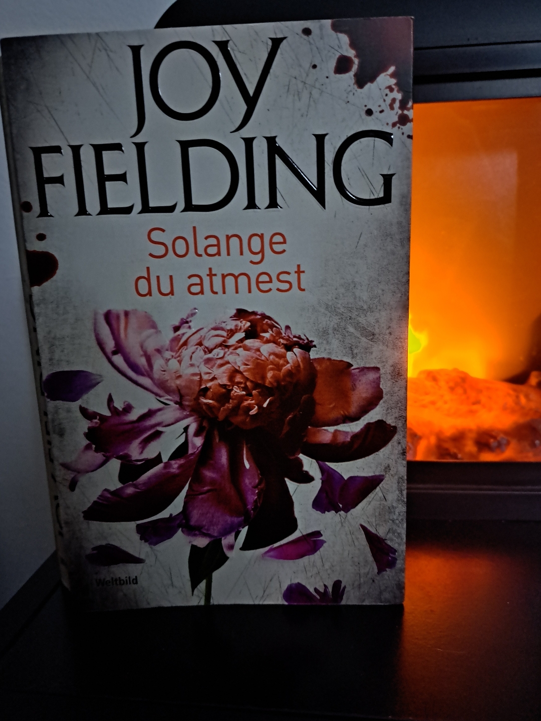 Ein gutes, spannendes Buch.
Ich hatte ziemlich schnell den richtigen Verdacht aber leider war das Ende etwas offen.