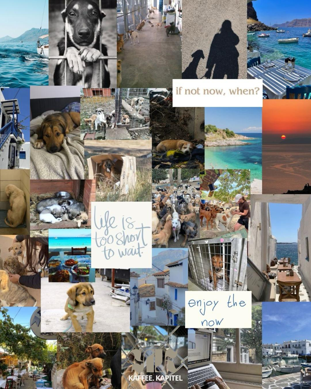 ☀️🐾🌊Eine berührende Reise voller Gefühle, Mut und Hoffnung🌊🐾☀️