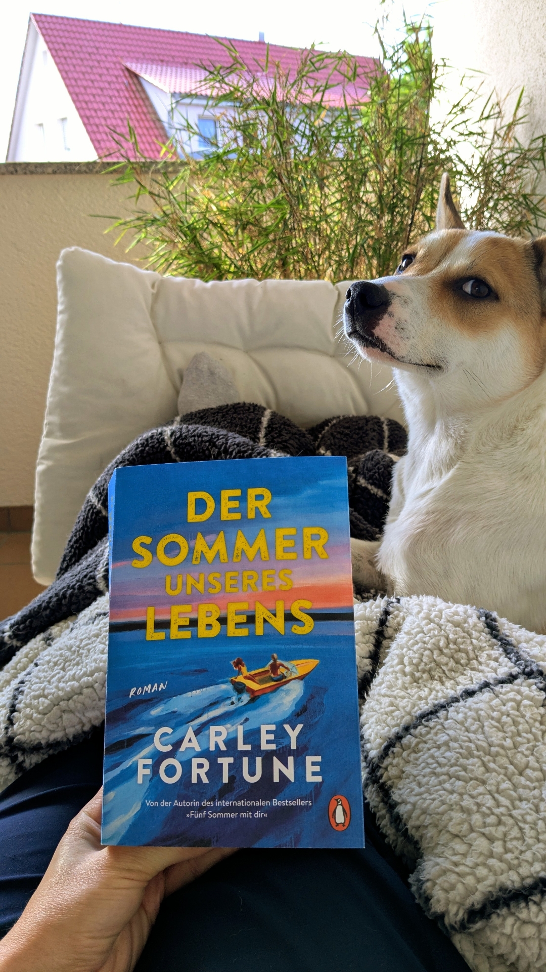 Perfekt für den Sommer ☀️👙