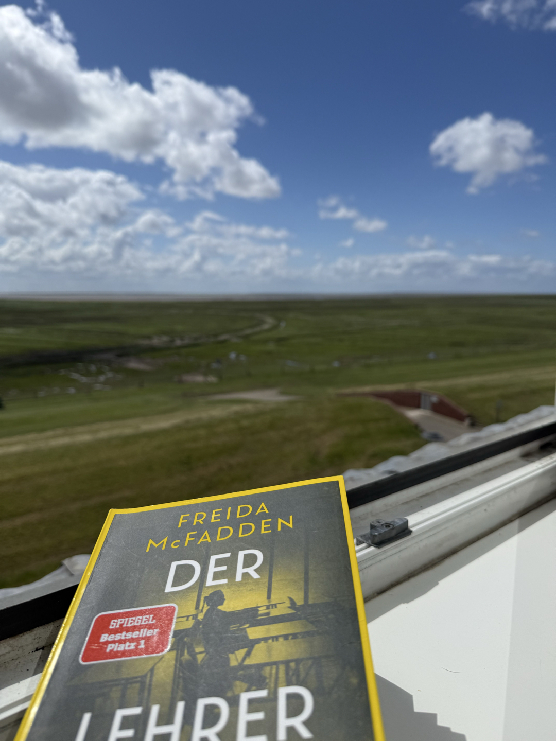 Verrückt bis zur letzten Seite