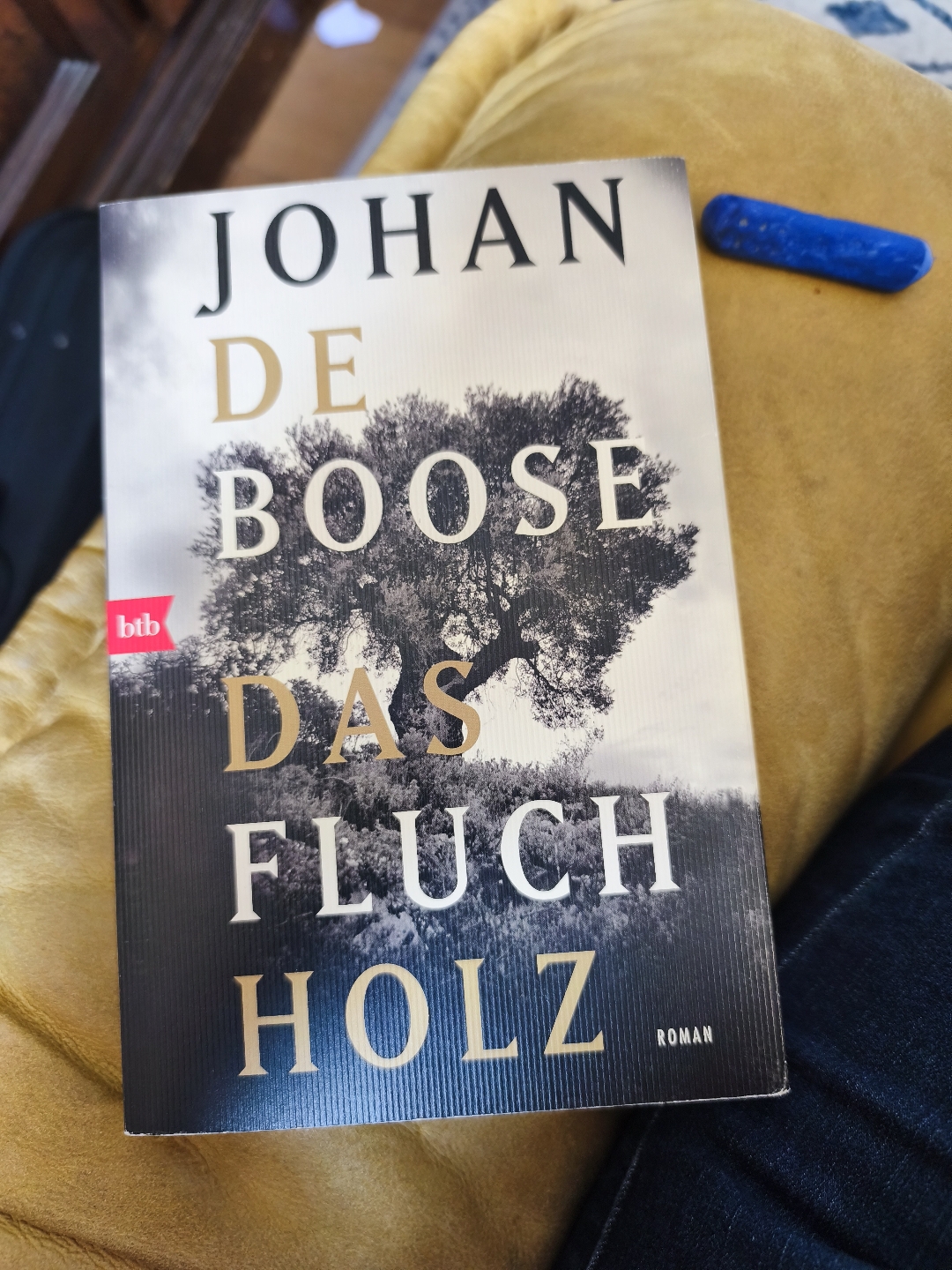 Was für ein Wahnsinnsbuch!