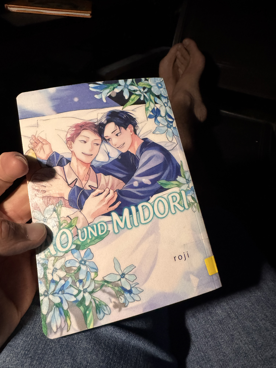 "Ao und Midori" ist eine nette kleine Geschichte über ein Coming-out in Japan.