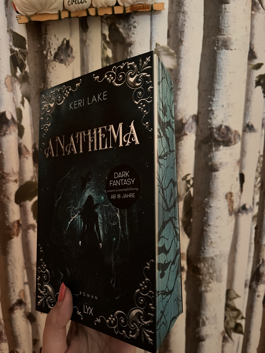 Düstere Gothic Fantasy voller Geheimnisse, Magie und Figuren, die lange nachhallen.