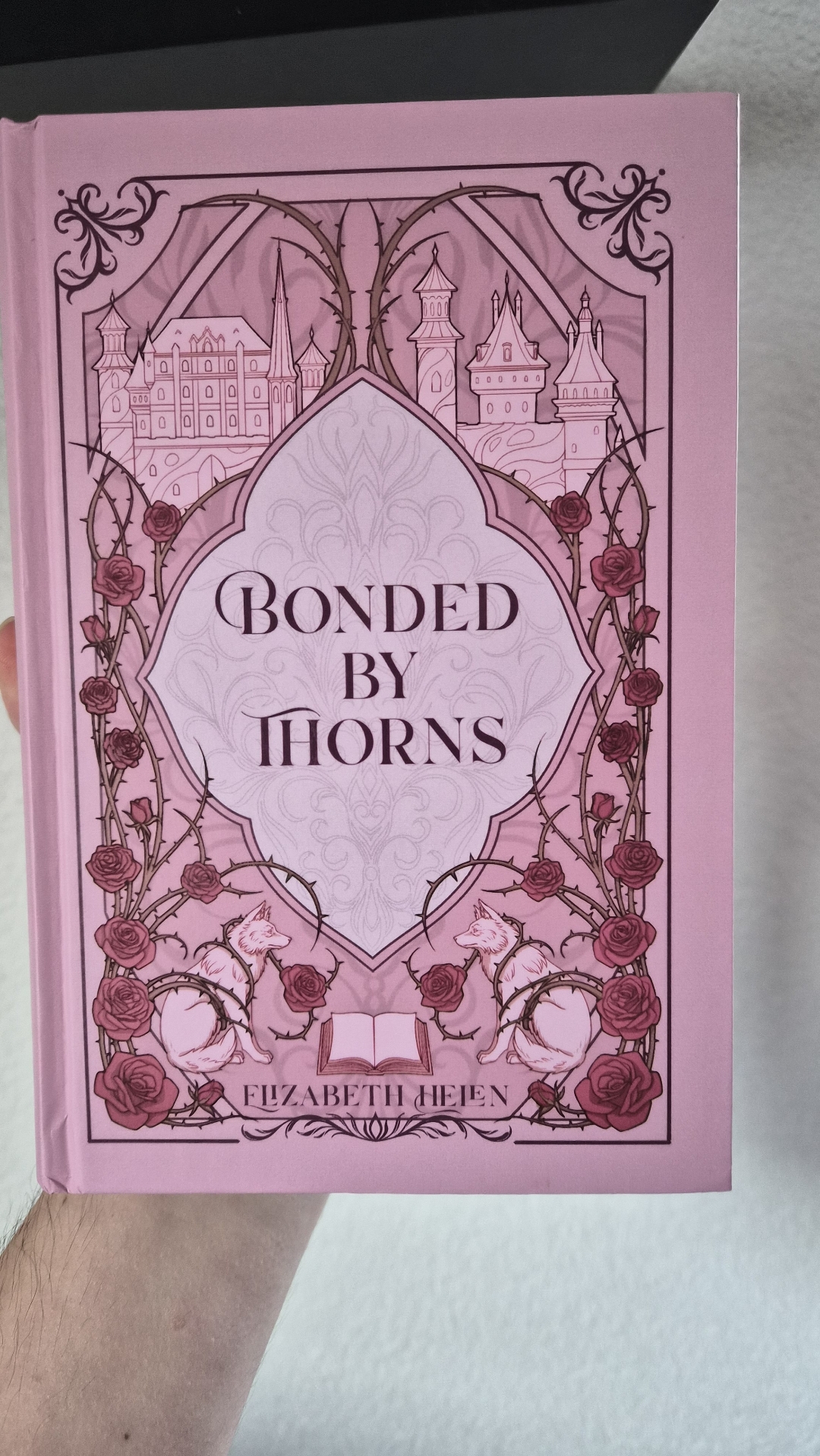 Die Schöne und das Biest-Harem 🌹