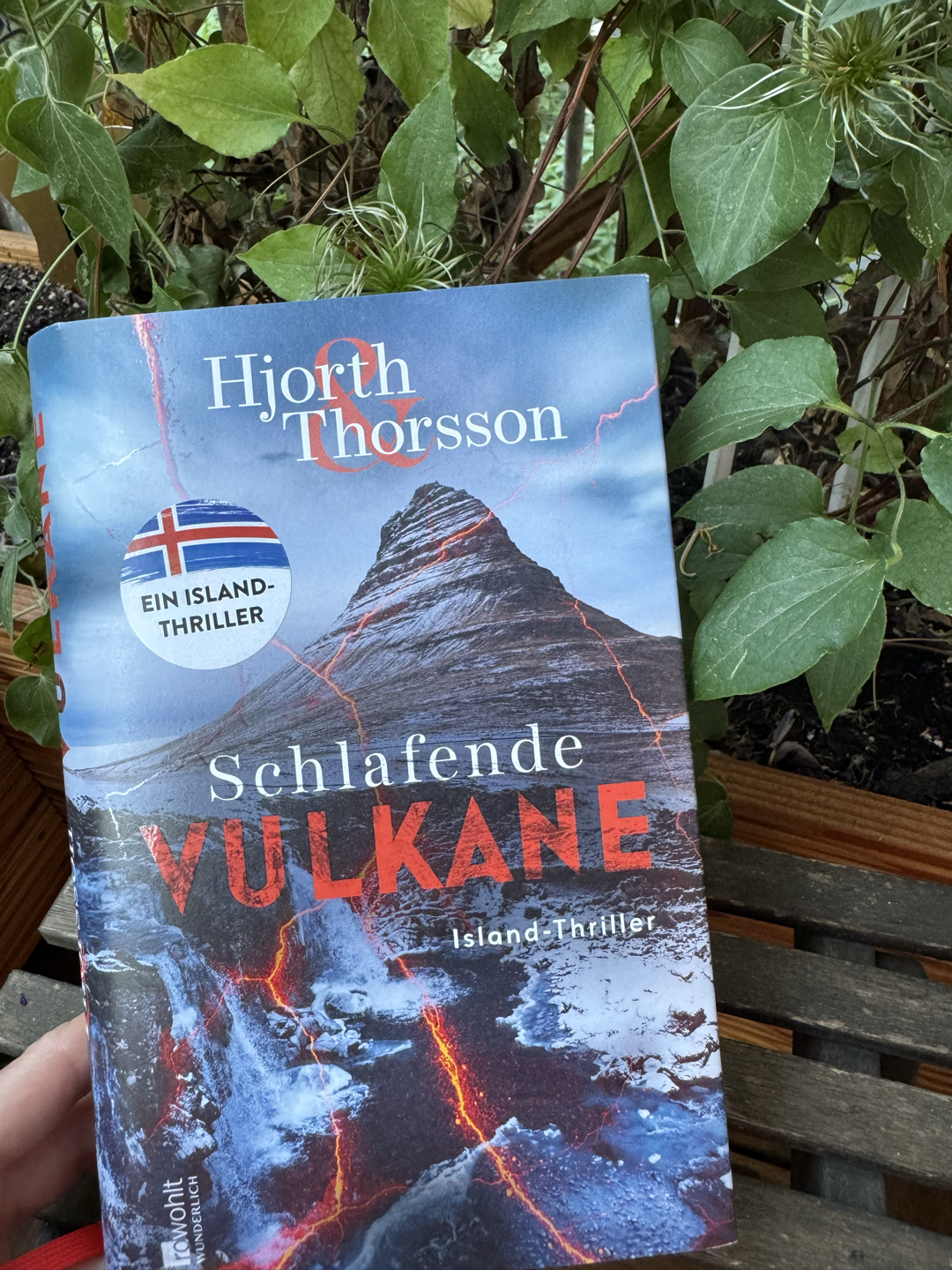 Für Fans von Spannung und Island