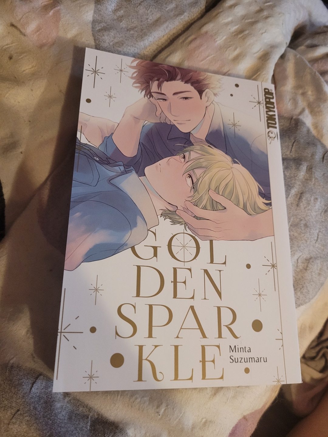 Ein richtig guter Manga, auch für Einsteiger in das Thema Yaoi gut