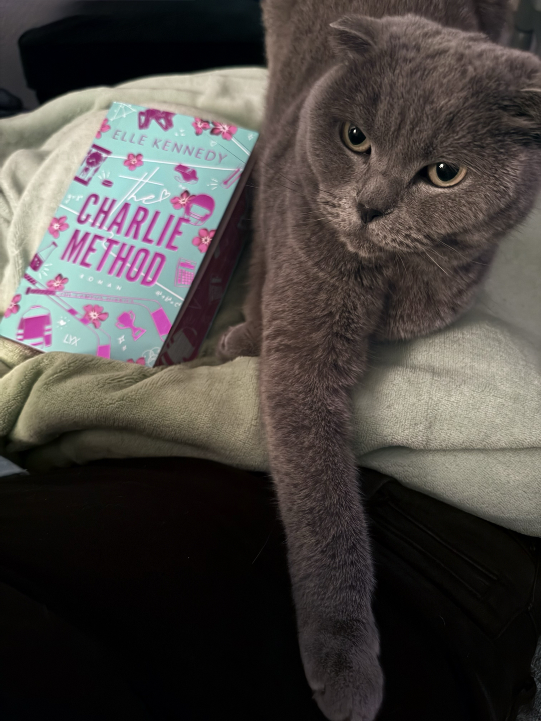 #4/Juni 🌴
Fast die Rezension zu dem Buch vergessen 🫠
Dank @helenes_mom die Reihe fast mit diesem Band gestartet 🤭😂