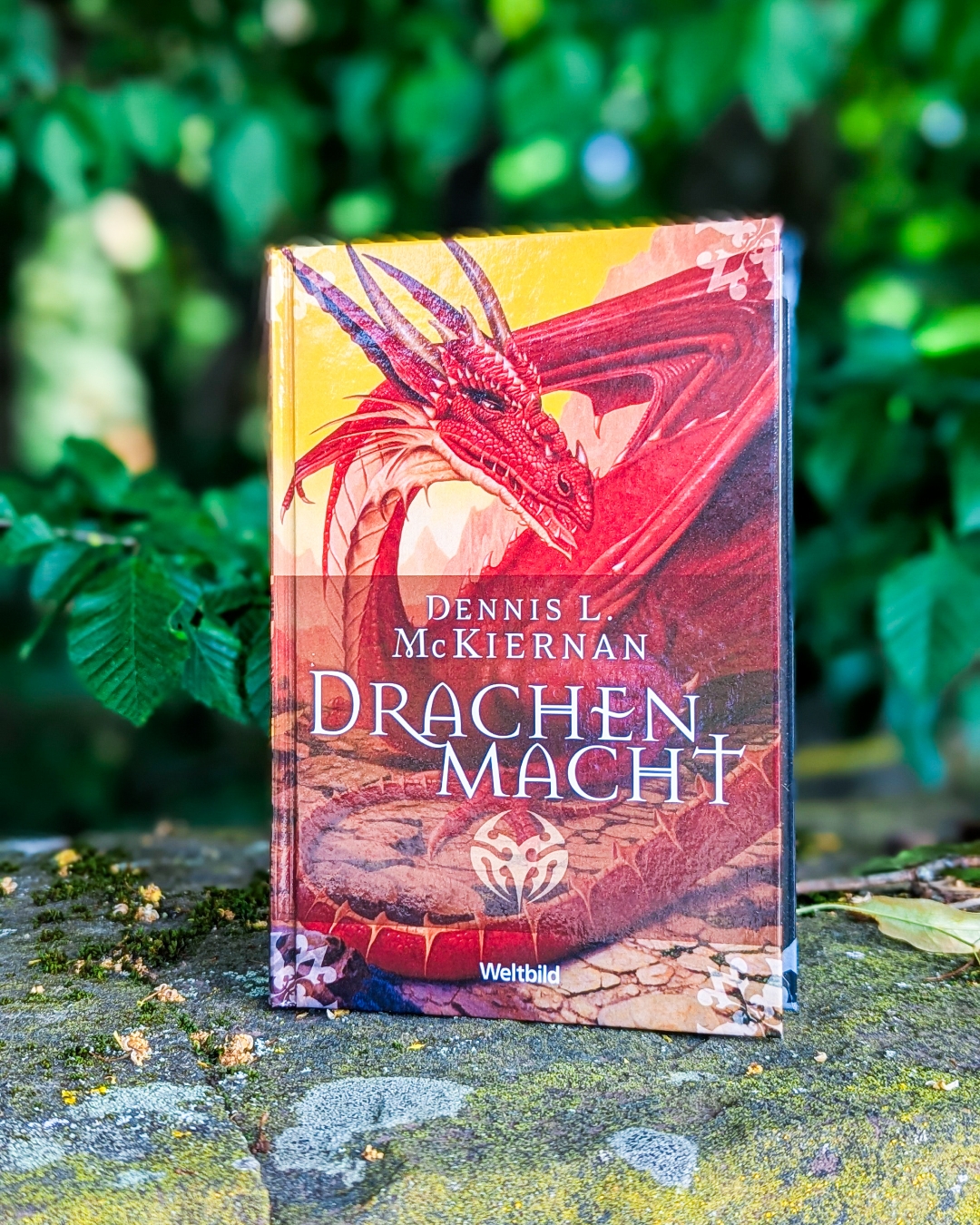 🐱📚 Reisegruppe solide. Bösewicht ausbaufähig.