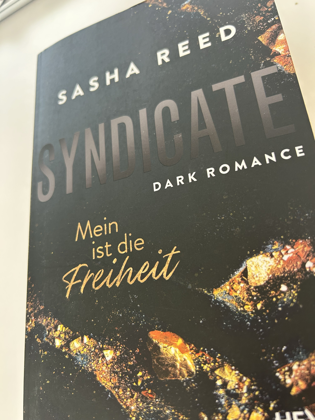 Elena & Nathan - Teil 1 der Syndicate-Reihe von Sasha Reed