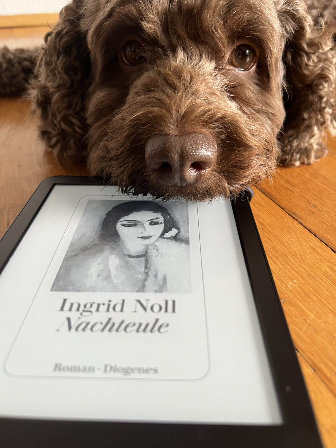 Ingrid Noll schreibt tolle Geschichten! Ich habe schon einige von ihr gelesen und freue mich auf viele weitere!