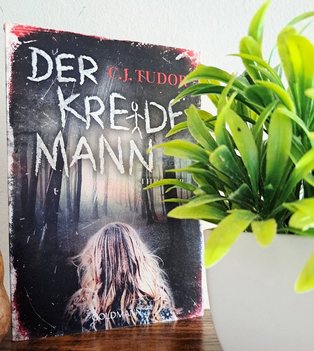 Toller Schreibstil & spannend von der ersten bis zur Letzten Seite!
