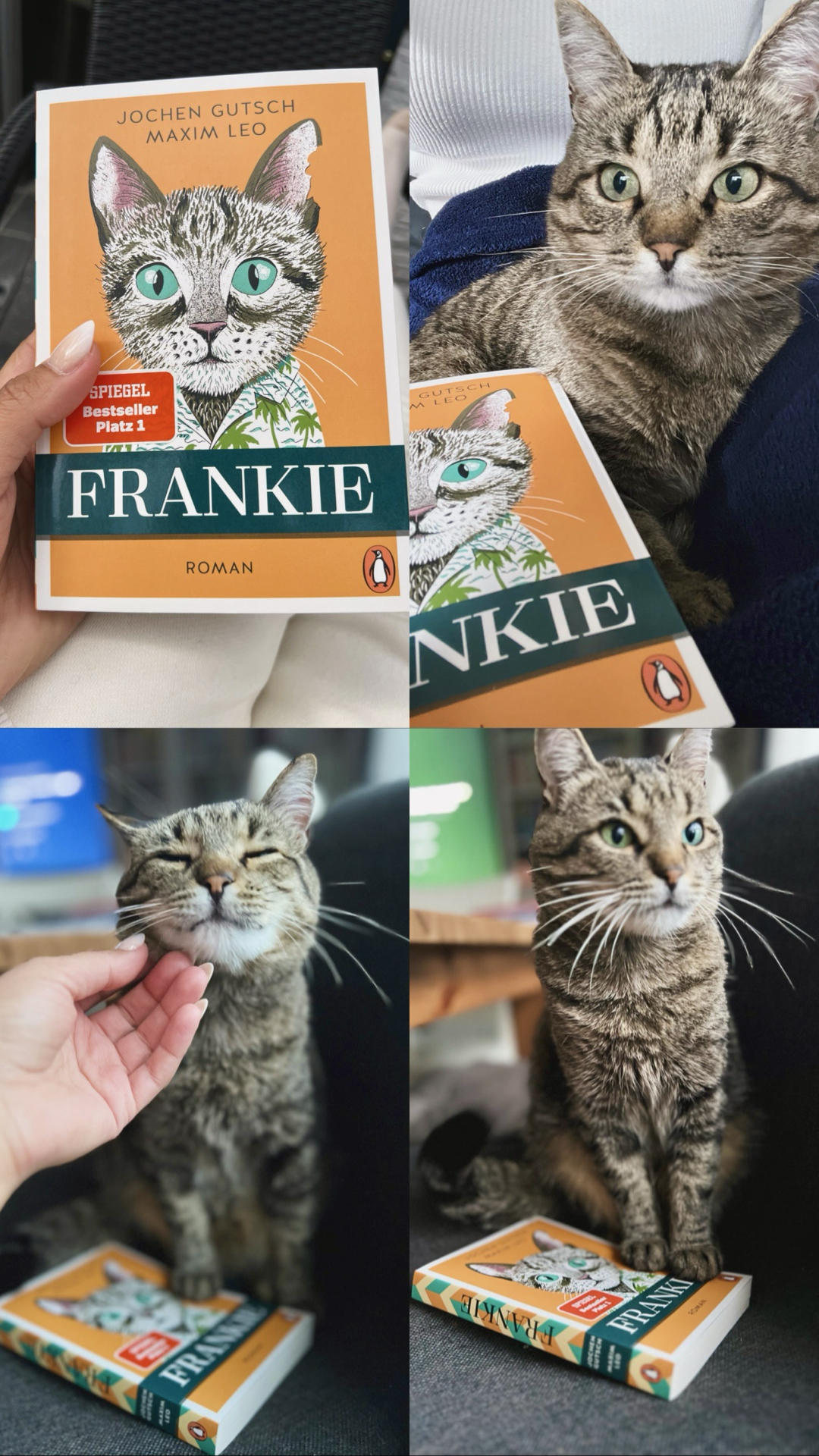 Manchmal braucht es die Augen eines Katers, um das Menschsein besser zu verstehen 🐾