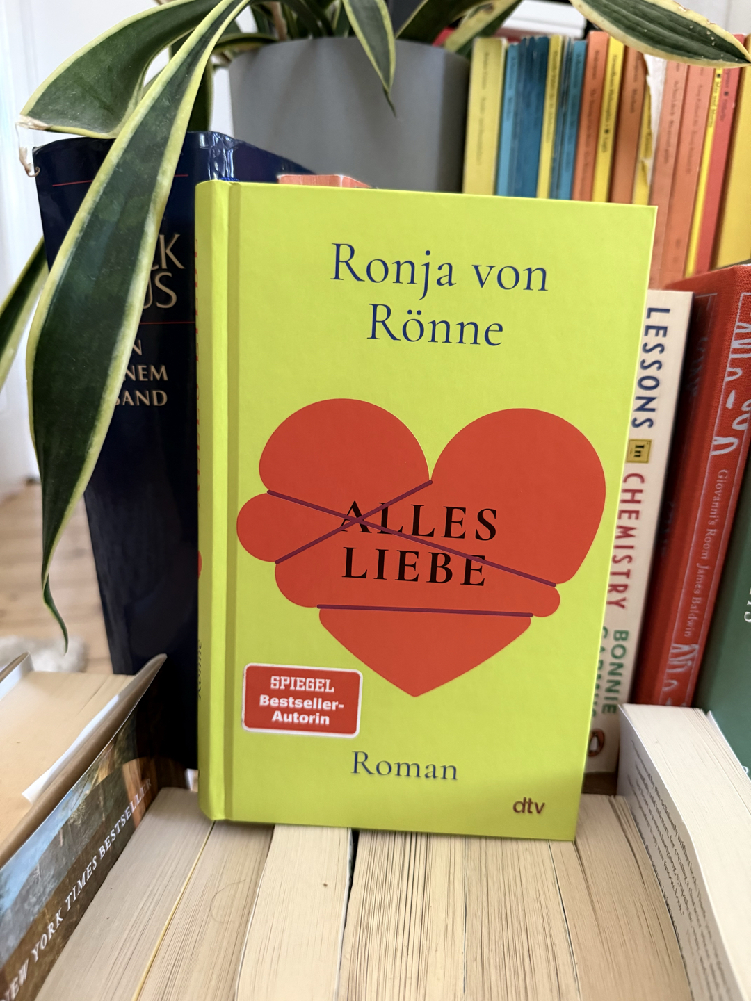 Twists, Leerstellen und moralische Fragen