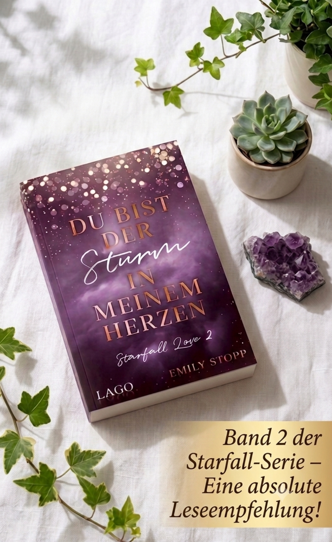 ☆☆☆☆Rezension: Eine Sturmfahrt der Gefühle in jedem Herzen – Absolut lesenswert!☆☆☆☆